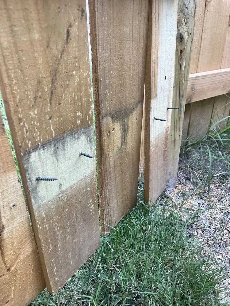 Professional residential landscaping experts serving Karnes City, TX - Precision Yard Worx