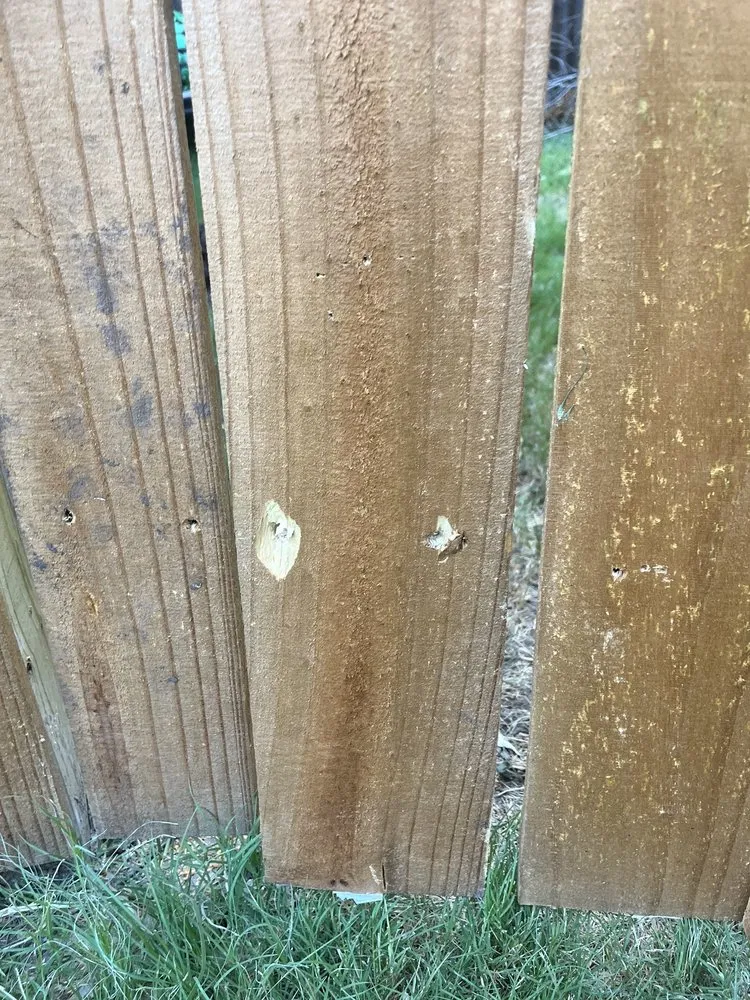 Local landscaping services experts serving Karnes City, TX - Precision Yard Worx