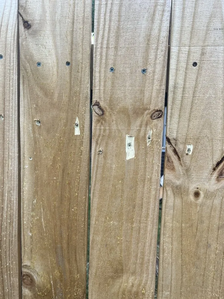 Custom lawn mowing service in Karnes City, TX by Precision Yard Worx