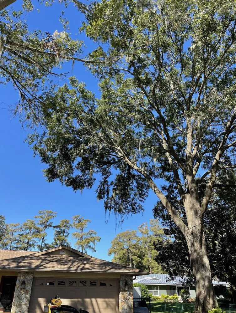 Trusted garden landscaping with custom design across Land O' Lakes, FL - Predator Tree Services