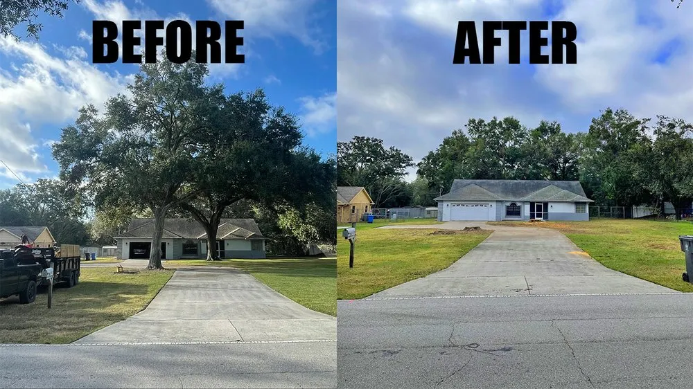 Professional lawn care service experts serving Land O' Lakes, FL - Predator Tree Services