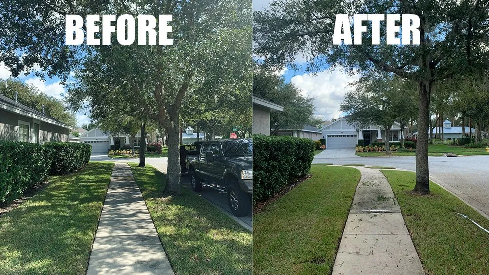Affordable outdoor landscaping for homes across Land O' Lakes, FL - Predator Tree Services