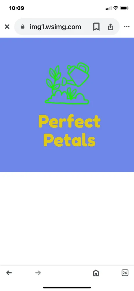 Top-rated landscaping services in Athens, NY - Prefect Petals