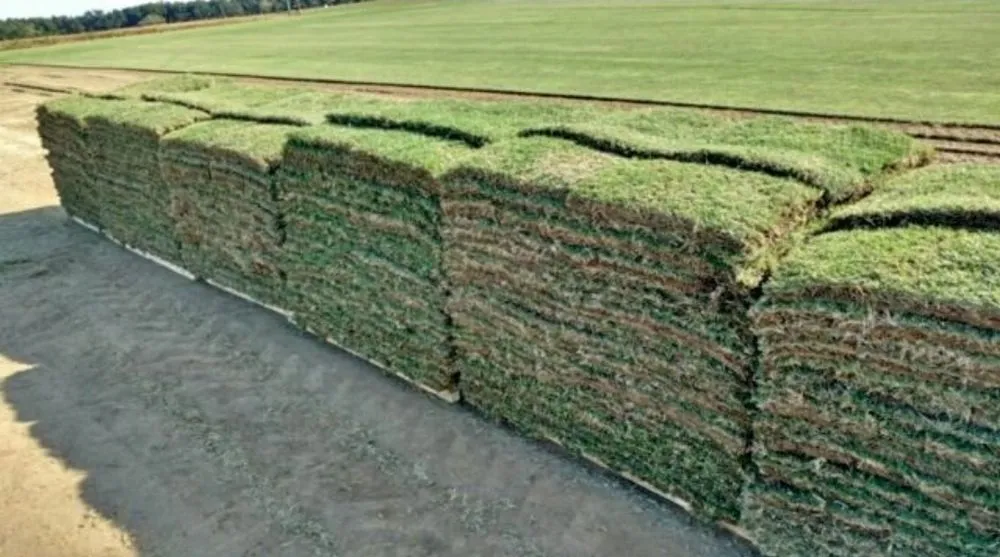 Trusted lawn care service near you in Wilmer, AL by Preferred Choice Yardworks