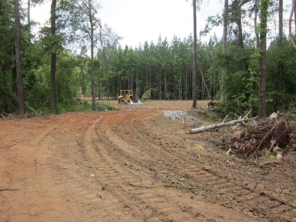 Affordable residential landscaping experts serving Seabrook, SC - Preferred Contractors Group