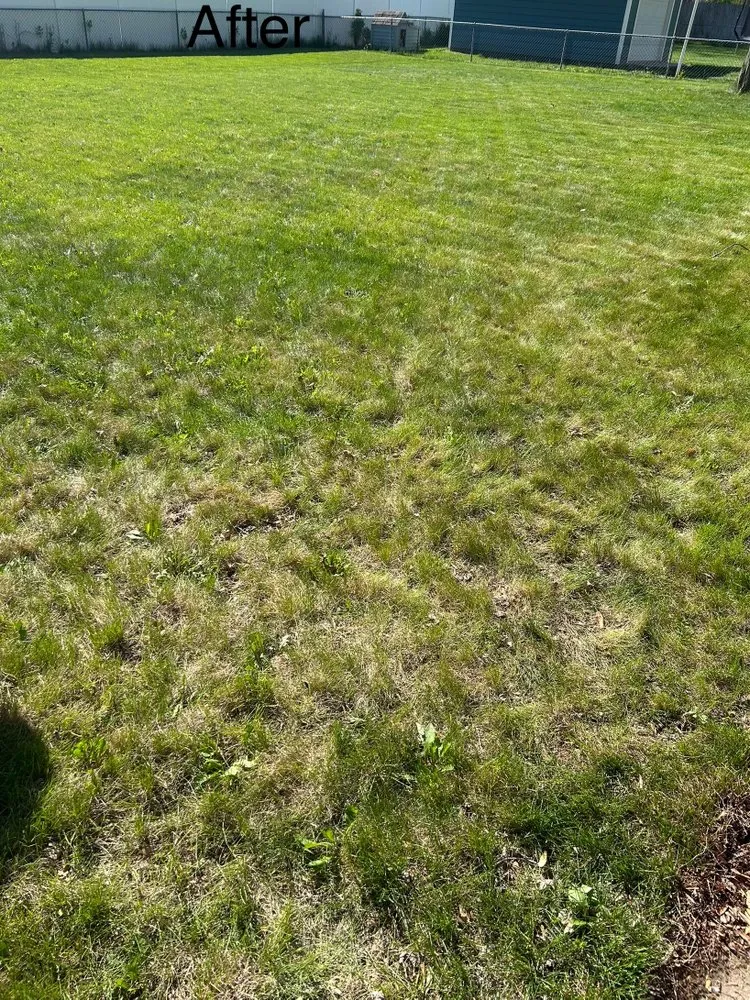 Professional yard maintenance in Hastings, NE by Preferred Enterprise