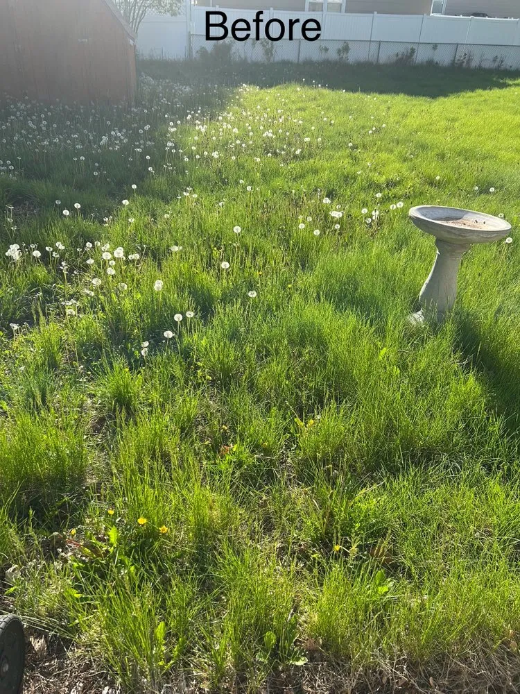 Expert residential landscaping experts serving Hastings, NE - Preferred Enterprise