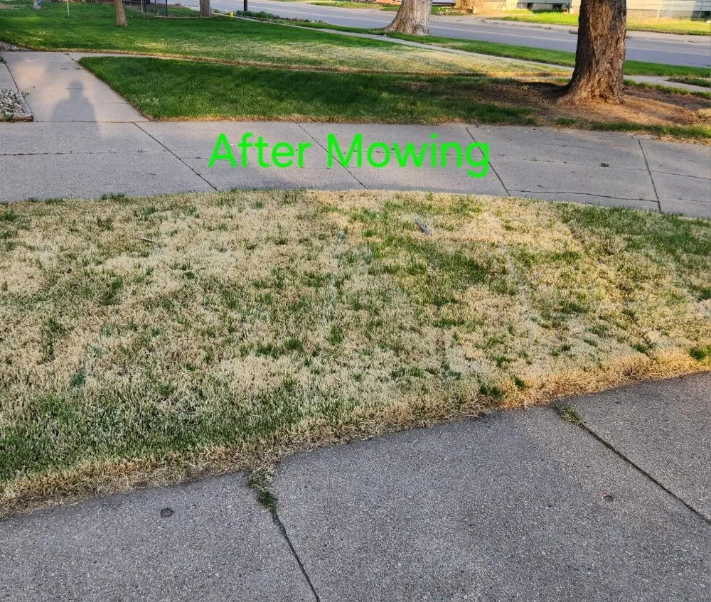 Local lawn mowing service in Hastings, NE - Preferred Enterprise