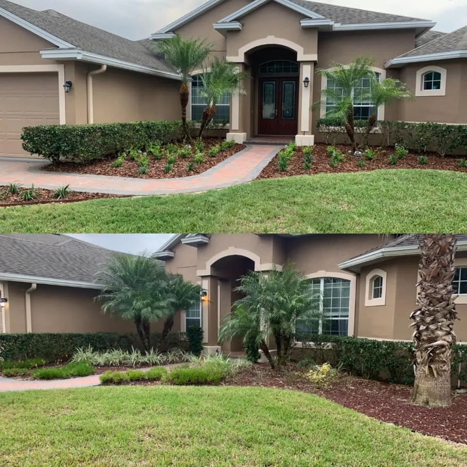 Custom outdoor landscaping in Oviedo, FL - Preferred Landscape of Central Florida
