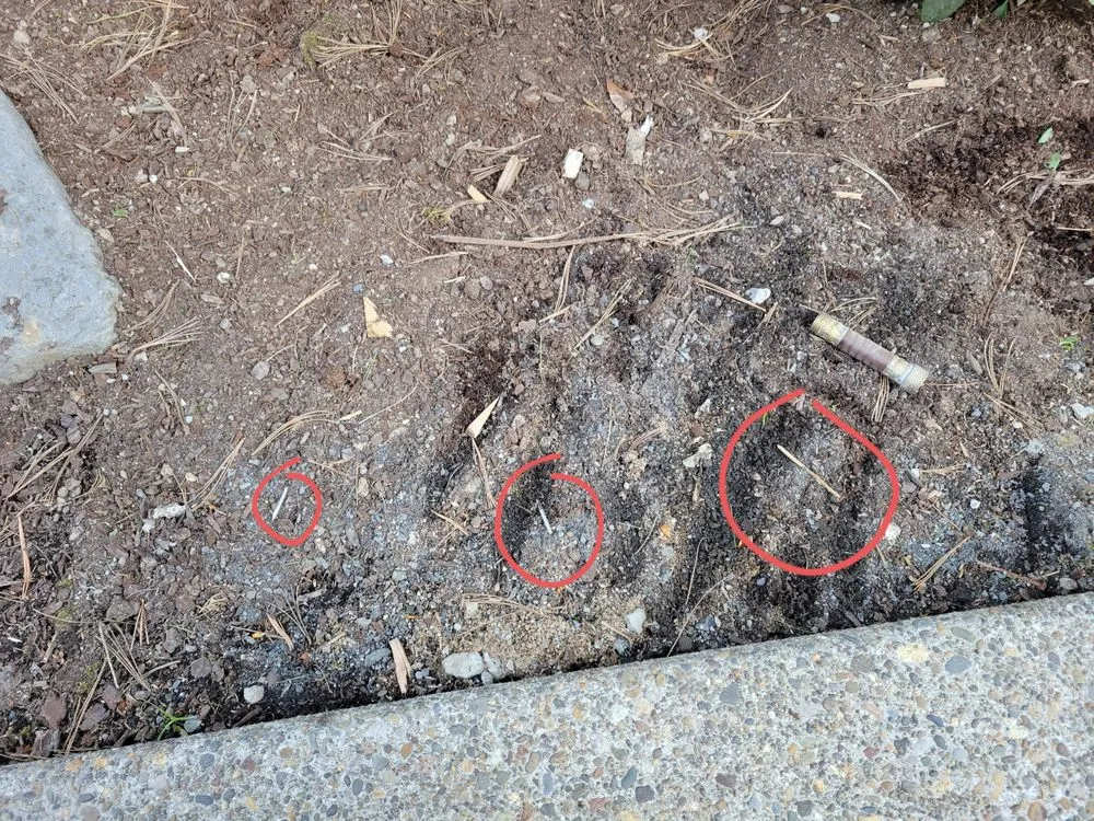 Professional landscape installation in Cornelius, OR - Preferred Landscape Services