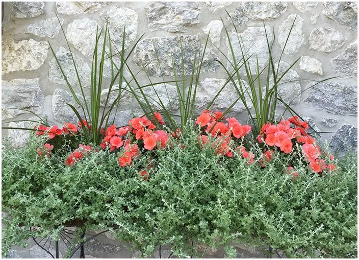 Top-rated landscape design experts serving Howell, MI - Preferred Landscapes