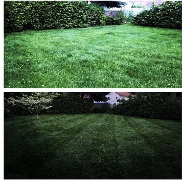 Professional residential landscaping near you across Wolcott, CT - Preferred Landscaping & Construction