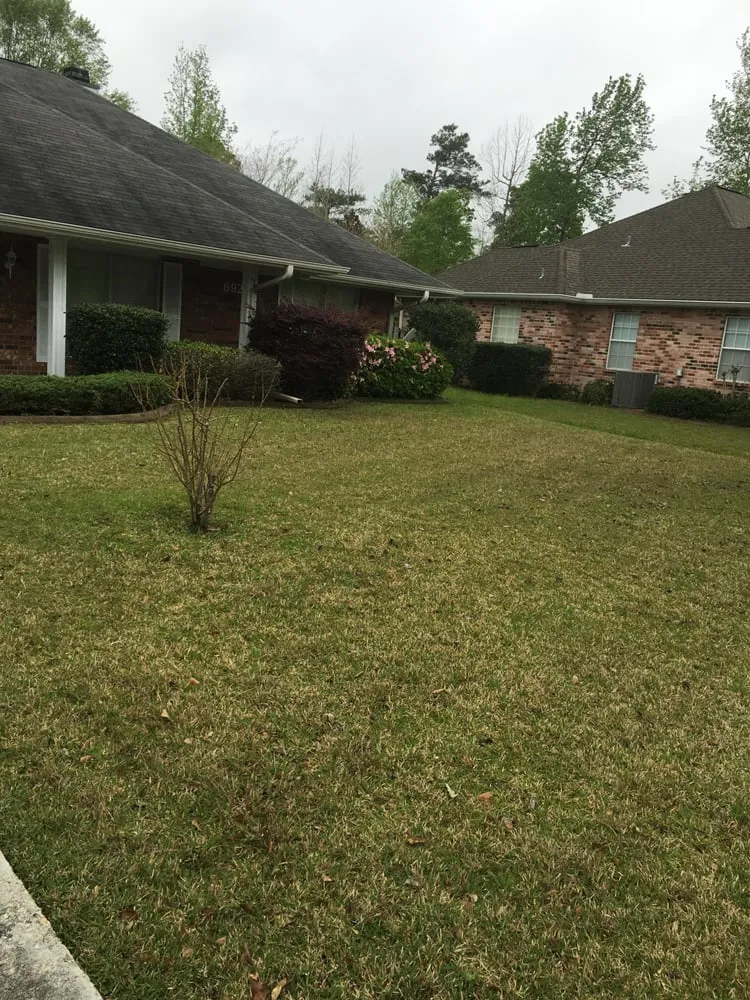 Affordable lawn care service in Diamondhead, MS by Preferred Lawn & Landscape