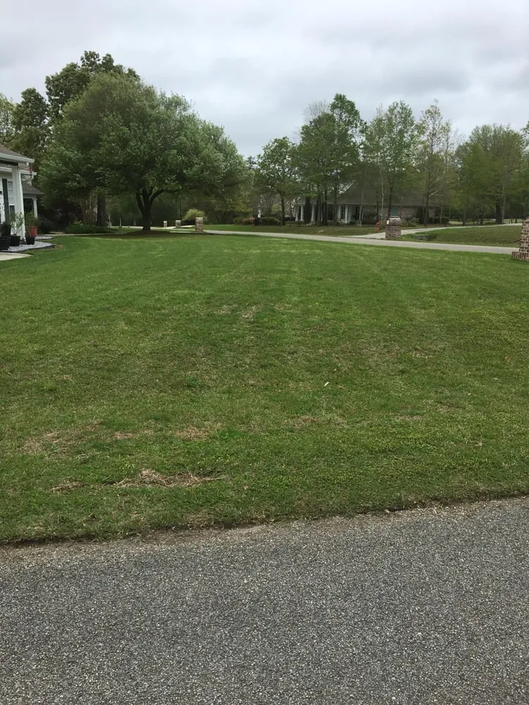 Local yard maintenance for outdoor upgrades in Diamondhead, MS by Preferred Lawn & Landscape