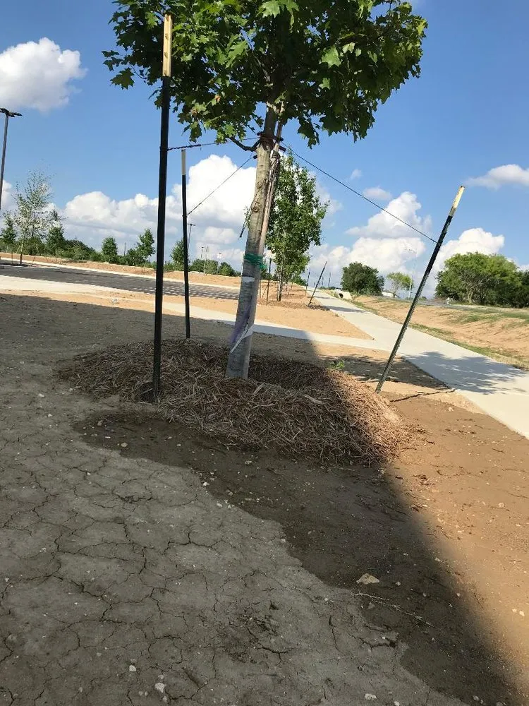 Custom landscaping services in Devine, TX by Preferred Outdoor Creations