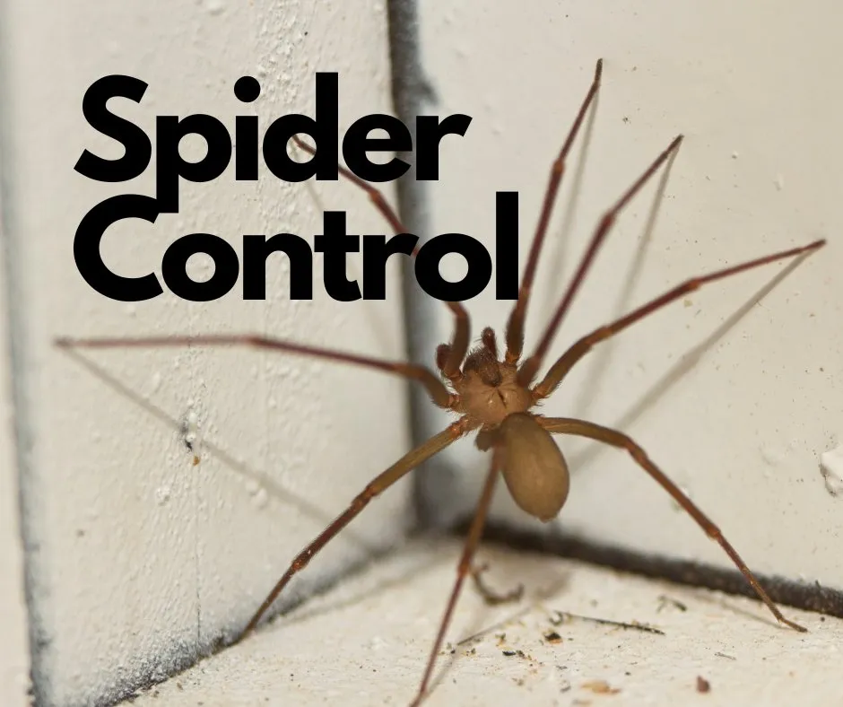 Reliable landscape installation in Columbia, MO - Preferred Pest and Lawn