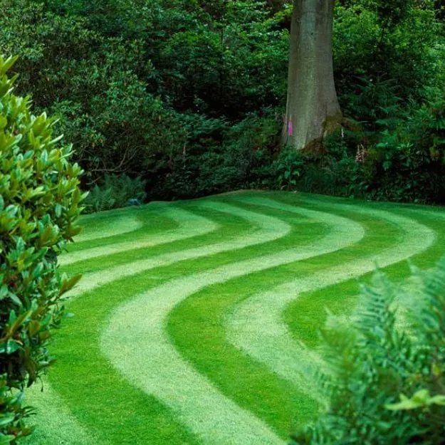 Local residential landscaping in Lansing, MI by Preferred Property Professionals