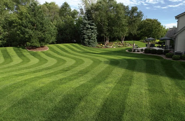 Expert yard maintenance for homes in Lansing, MI by Preferred Property Professionals