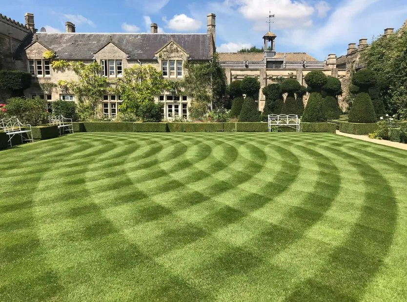 Affordable lawn mowing service in Lansing, MI - Preferred Property Professionals