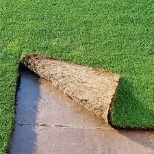 Reliable yard maintenance in Bradenton, FL - Preferred Sod