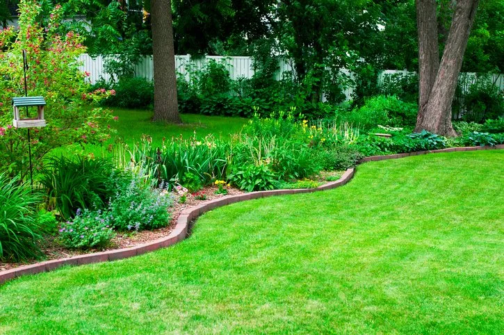 Professional yard cleanup service in Bradenton, FL - Preferred Sod