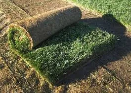 Local yard maintenance in Bradenton, FL - Preferred Sod