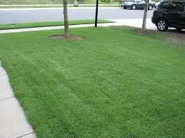 Reliable landscaping services with custom design across Bradenton, FL - Preferred Sod