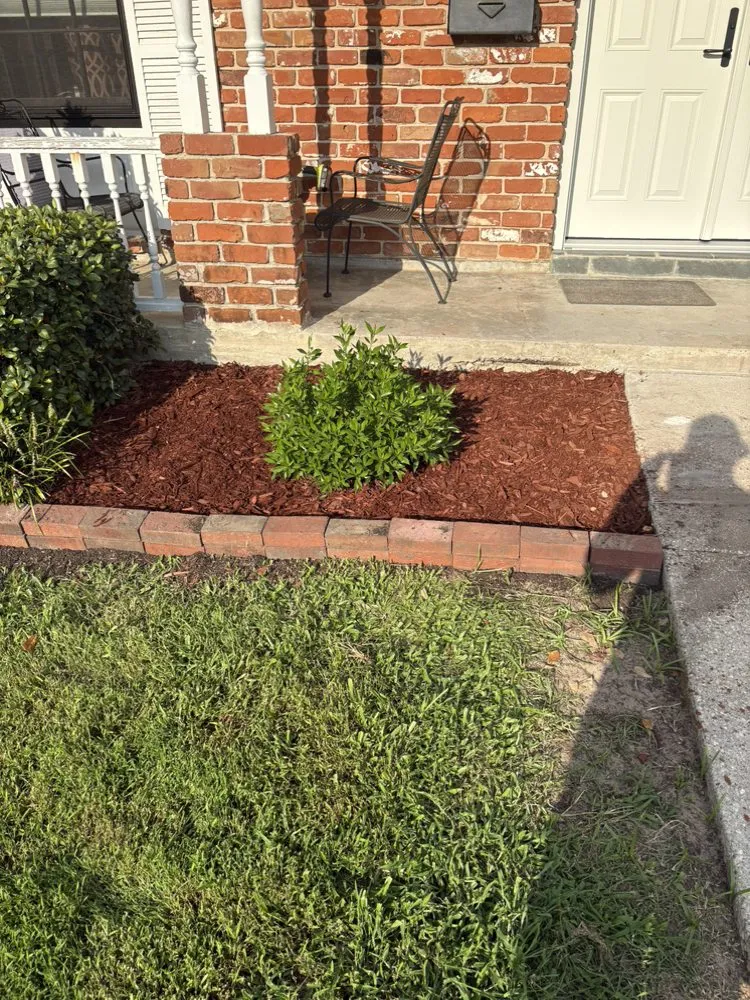 Expert landscaping services experts serving Metairie, LA - Premier Auto Detailing