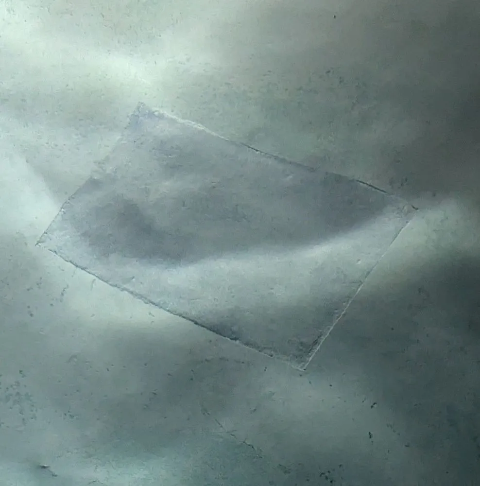 Expert yard maintenance in Richmond, TX by Premier Classic Pools & Outdoors