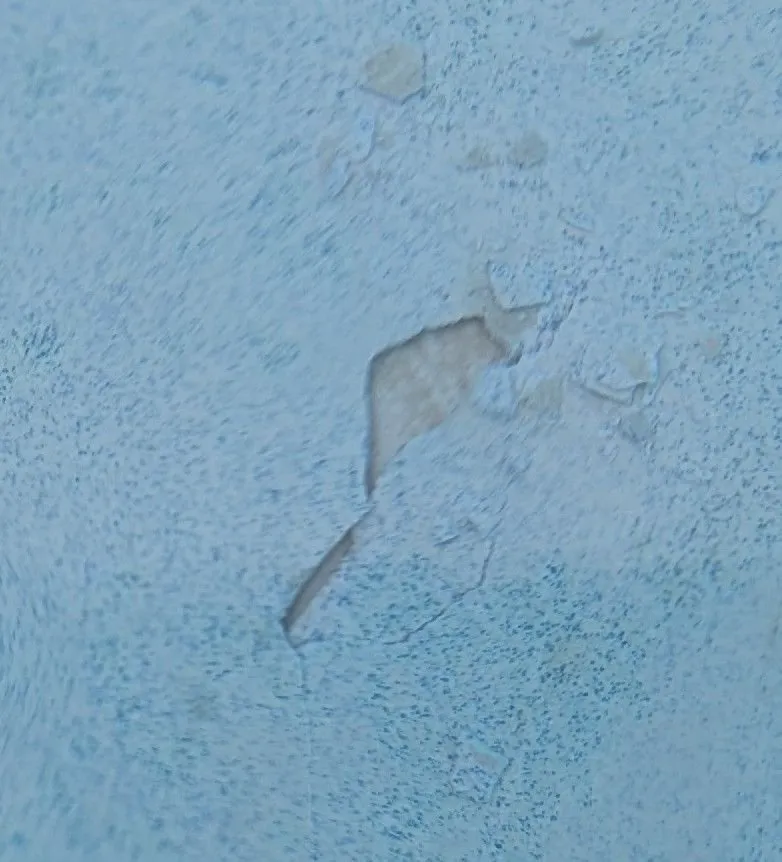 Expert lawn care service near you in Richmond, TX by Premier Classic Pools & Outdoors