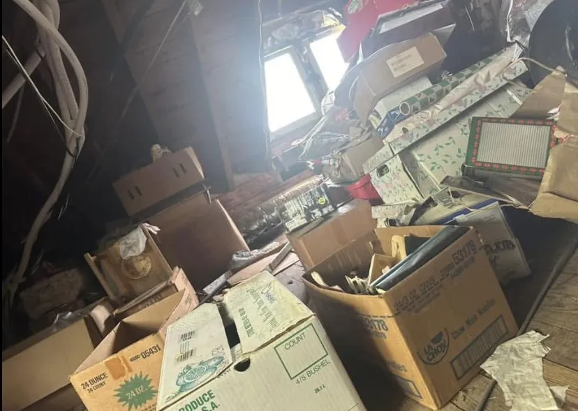 Expert outdoor landscaping experts serving Bridgewater, VA - Premier Cleaning Services