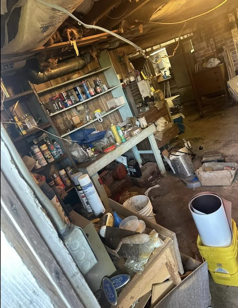 Professional outdoor landscaping for year-round maintenance across Bridgewater, VA - Premier Cleaning Services