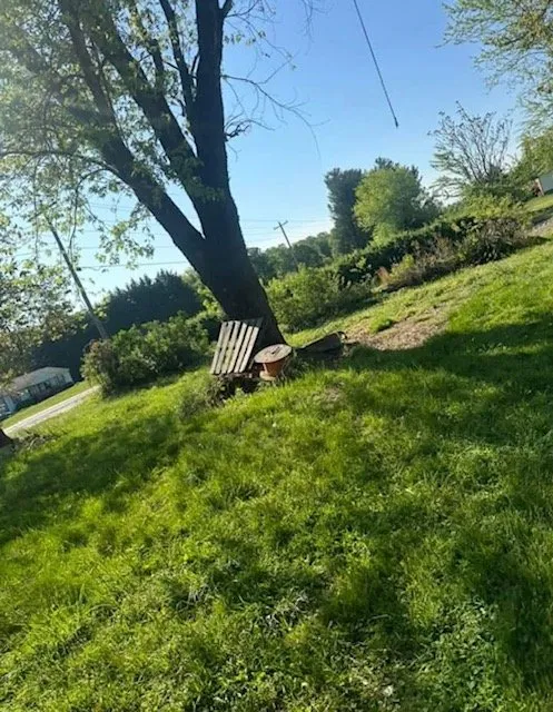 Trusted outdoor landscaping for residential properties in Bridgewater, VA by Premier Cleaning Services