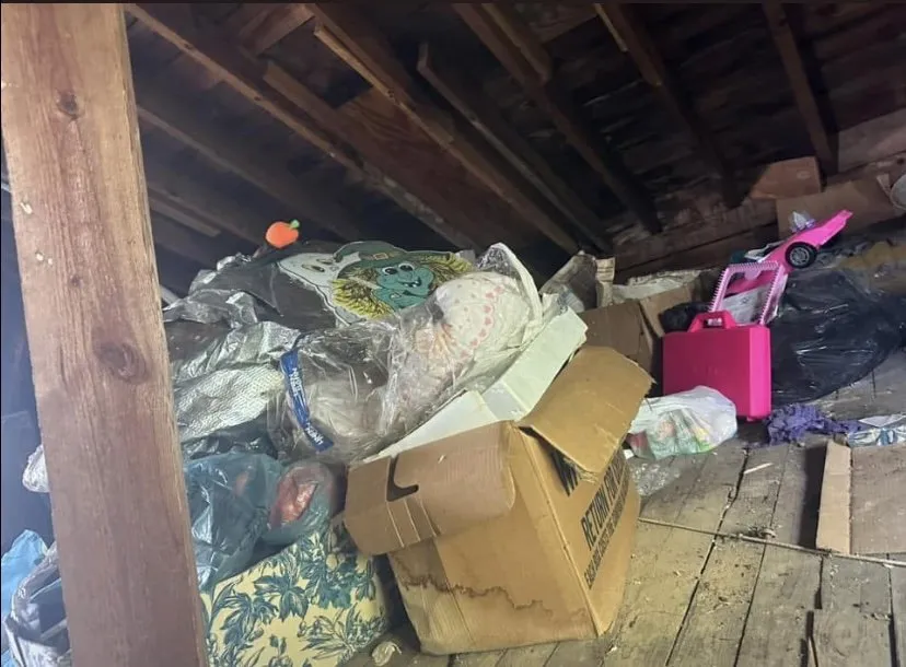 Professional lawn care service in Bridgewater, VA - Premier Cleaning Services