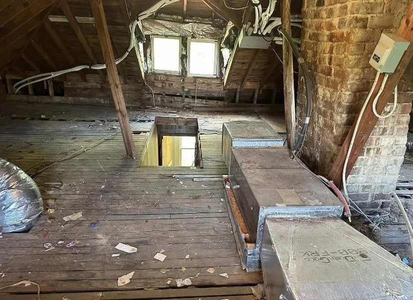 Local yard maintenance experts serving Bridgewater, VA - Premier Cleaning Services