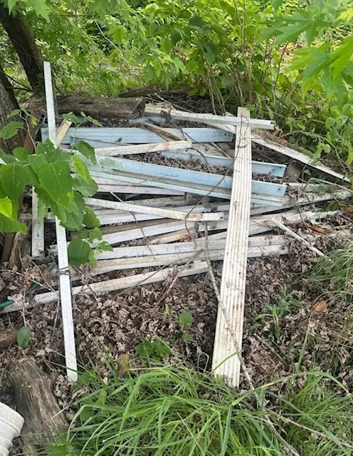 Local lawn care service experts serving Bridgewater, VA - Premier Cleaning Services