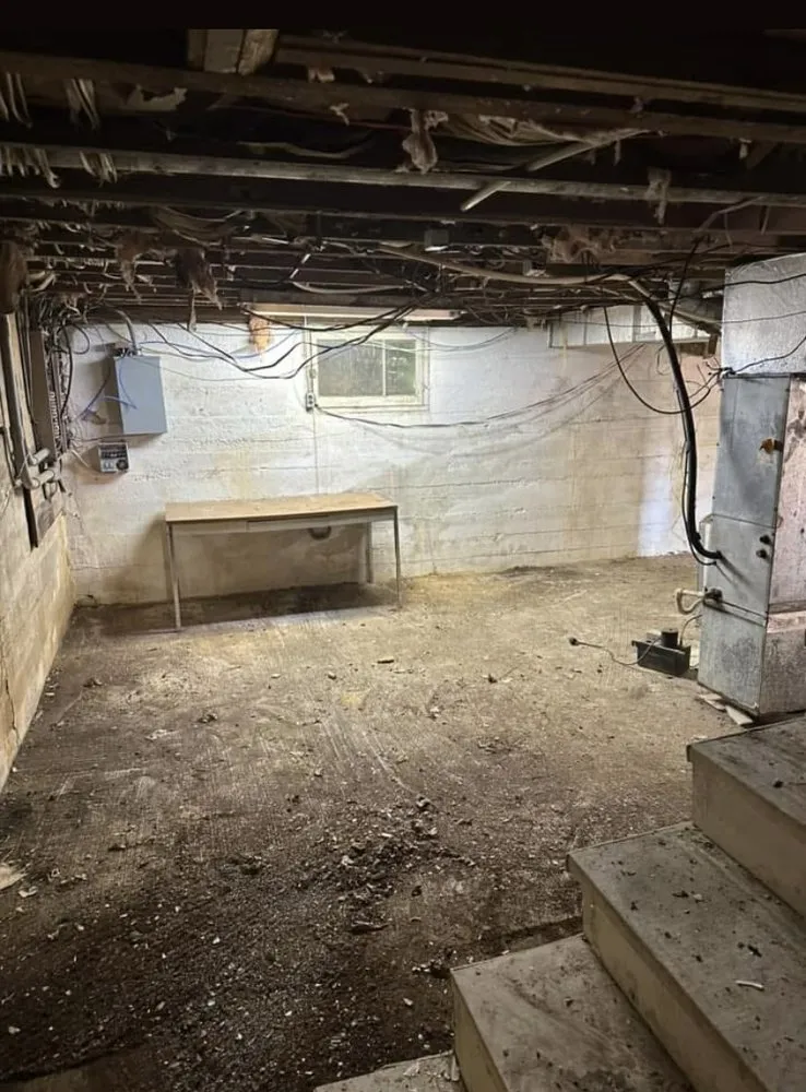 Top-rated residential landscaping experts serving Bridgewater, VA - Premier Cleaning Services