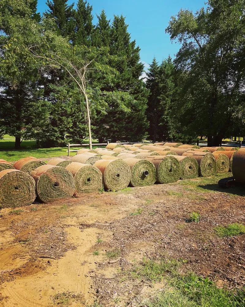 Affordable landscaping services in Annapolis, MD by Premier Contracting