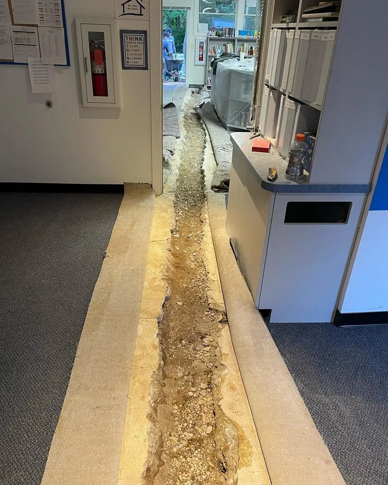 Expert landscape installation near you in Annapolis, MD by Premier Contracting