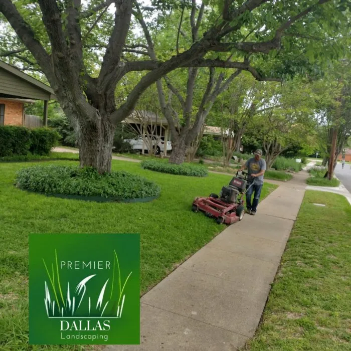 Expert landscape design experts serving Dallas, TX - Premier Dallas Landscaping