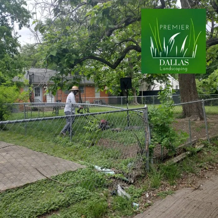 Custom landscape design for beautiful yards across Dallas, TX - Premier Dallas Landscaping