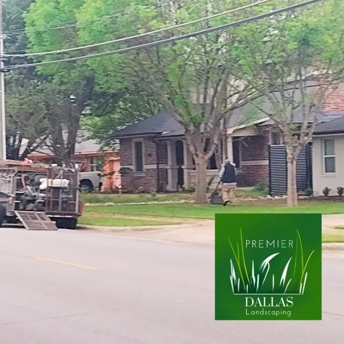 Affordable residential landscaping experts serving Dallas, TX - Premier Dallas Landscaping