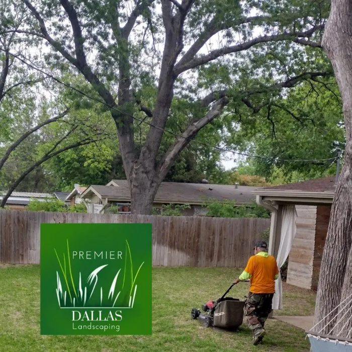 Custom landscape design in Dallas, TX - Premier Dallas Landscaping