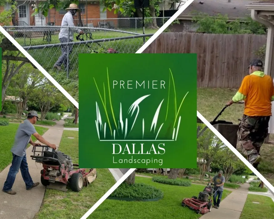 Expert yard maintenance for year-round maintenance across Dallas, TX - Premier Dallas Landscaping