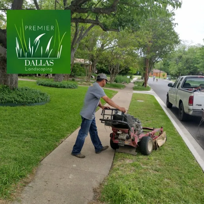 Professional residential landscaping in Dallas, TX by Premier Dallas Landscaping