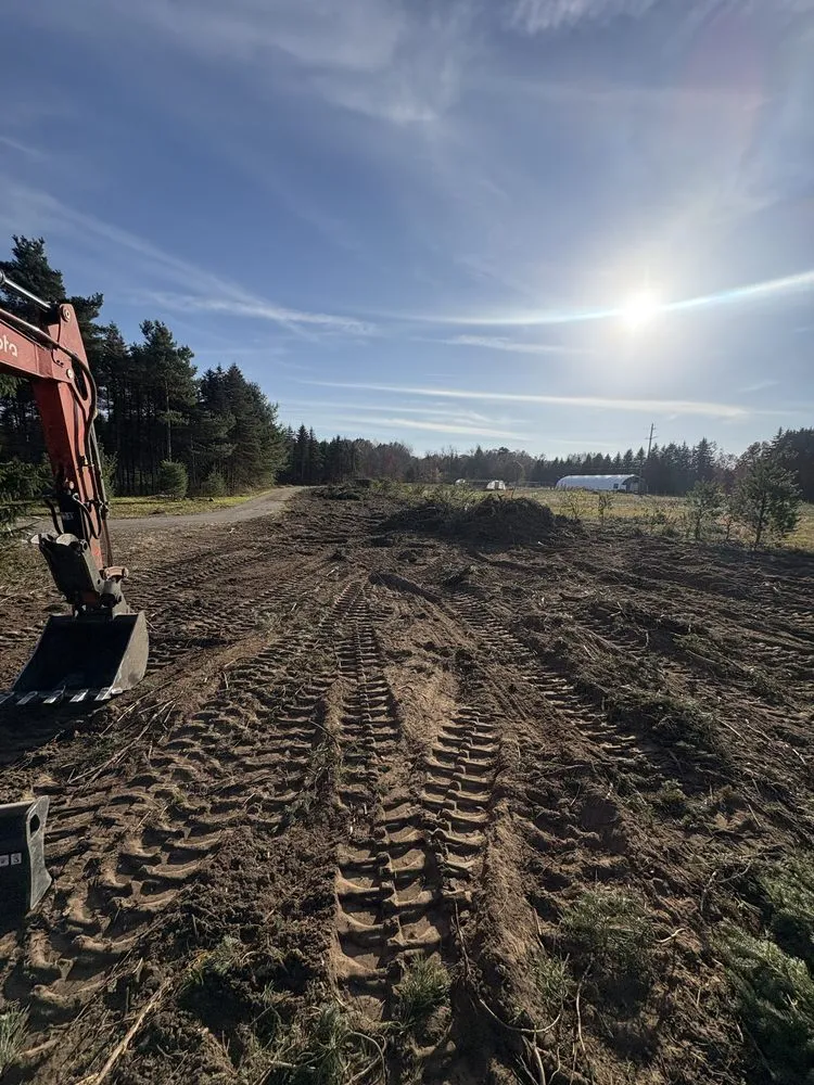 Trusted yard cleanup service experts serving Zeeland, MI - Premier Dirtworks & Outdoor solutions