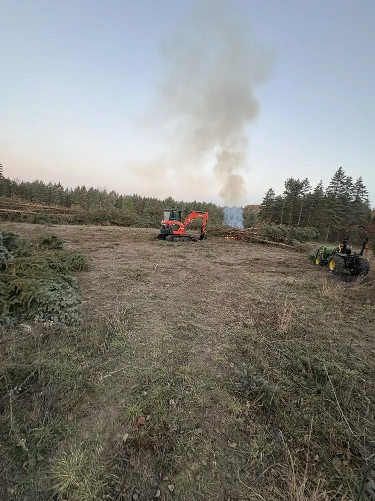 Professional yard cleanup service near you in Zeeland, MI by Premier Dirtworks & Outdoor solutions