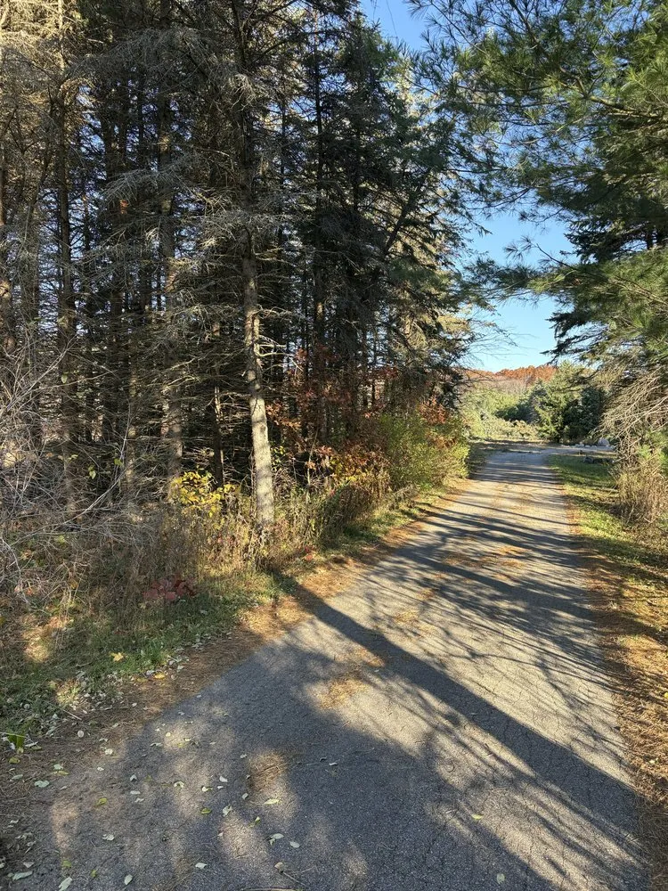 Affordable lawn care service for year-round maintenance across Zeeland, MI - Premier Dirtworks & Outdoor solutions