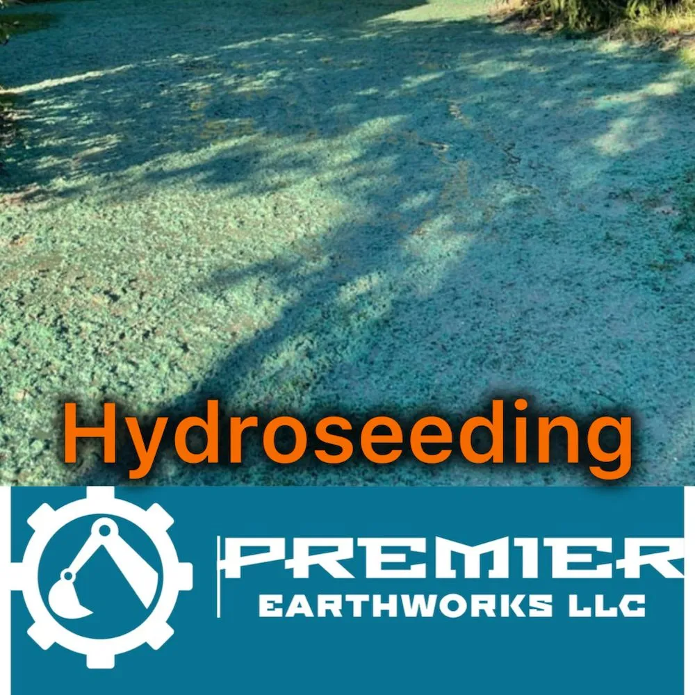 Affordable lawn care service for beautiful yards in Timmonsville, SC by Premier Earthworks