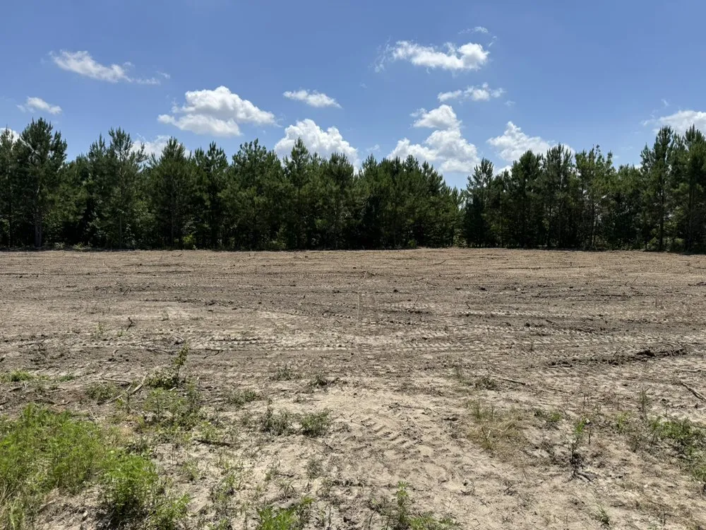 Trusted landscape installation in Timmonsville, SC - Premier Earthworks